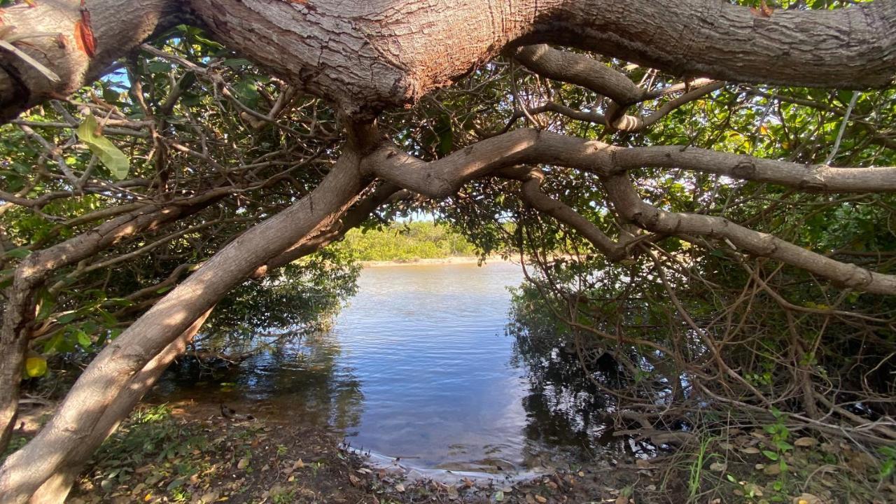 Morada Venturi Villa Atins Eksteriør bilde